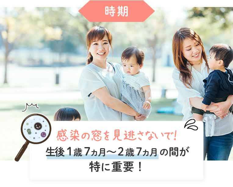 時期 感染の窓を見逃さないで!生後1歳7ヵ月〜2歳7ヵ月の間が 特に重要